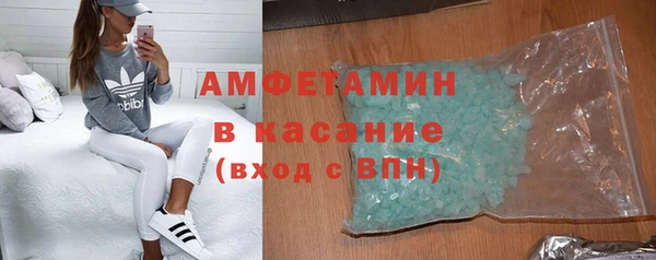 индика Аркадак