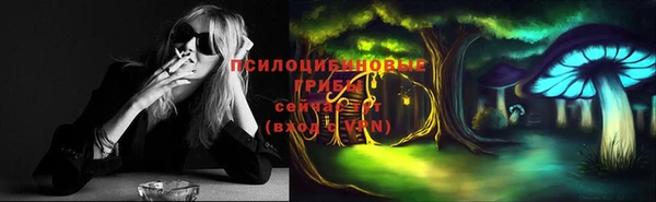 mdpv Арсеньев
