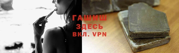 индика Аркадак