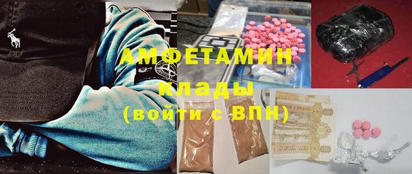 сатива Алзамай