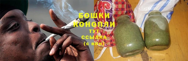 индика Аркадак