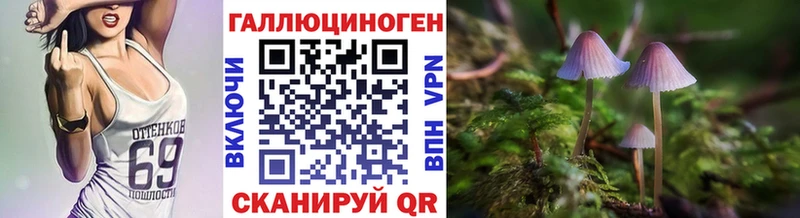 Галлюциногенные грибы ЛСД  Купить закладки  Черногорск 